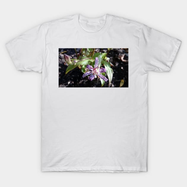 Toad orchid T-Shirt by Gourmetkater